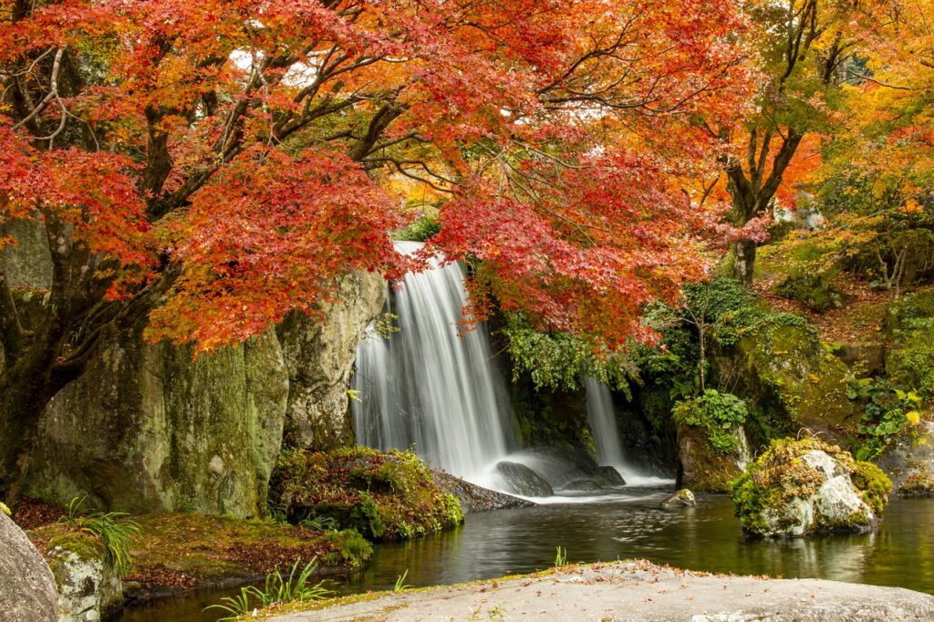 回数コースの何回が目安となるのか？