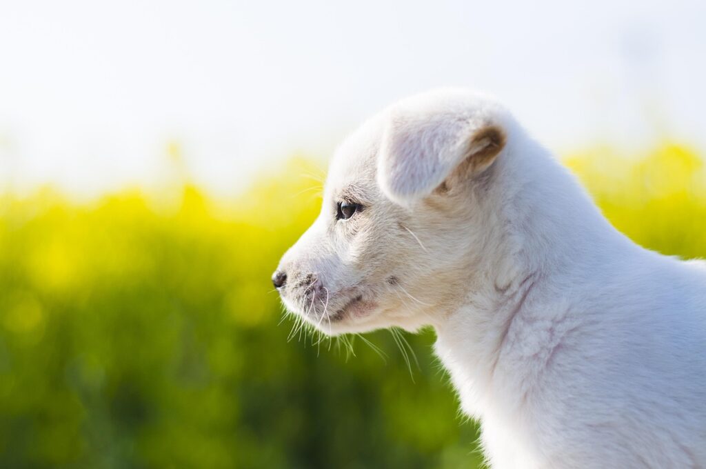 うなじ脱毛の仕上がりが自然に見える方法は？