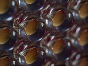 ダイオードとアレキサンドライトの効果を比較するとどちらが優れているのか？