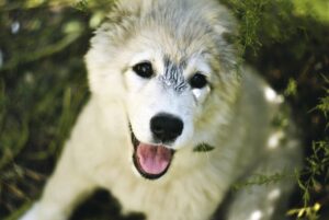 脱毛効果が出ない原因とその対処法は？