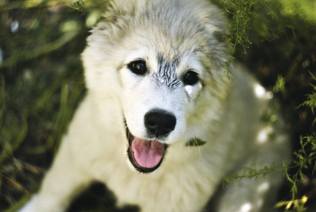 脱毛の効果を重視した出力と回数の関係とは？