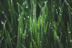 生理中でもVIO脱毛の効果は受けられる？