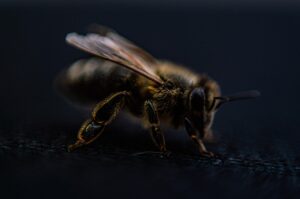 脱毛キャンセルが多いと効果が落ちるって本当？
